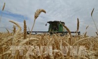 WTO mengeluarkan keputusan bahwa Tiongkok memberi subsidi pada beberapa produk pertanian
