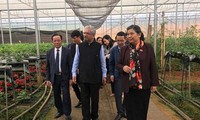Wakil Harian Ketua MNVN,Tong Thi Phong melakukan kunjungan kerja di Kabupaten Moc Chau, Provinsi Son La