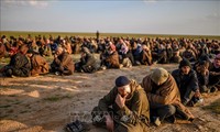 Puluhan militan IS di Suriah menyerah