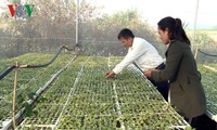 Desa Ba Na pertama di Provinsi Gia Lai  melakukan pertanian teknologi tinggi