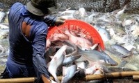 US Senators oppose tra and basa fish supervision by USDA