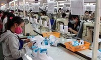 Vietnam-Chile trade exceeds 600 million USD