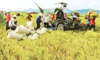 International aid mobilized for new rural development in Vietnam