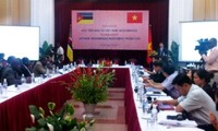 Increasing Vietnam-Mozambique investment efficiency 