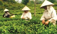 Australia provides direct aid to Vietnam's disadvantaged people 