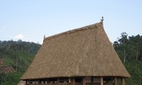 Communal house of the Cotu