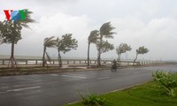 Coastal residents evacuate as Typhoon Nari nears 