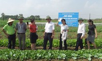 Deputy Prime Minister inspects food safety in Bac Ninh