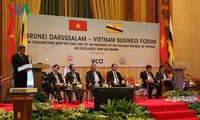 陈大光出席越南-文莱企业论坛