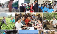 Vietnam to reduce poverty rate by 1.5% annually 
