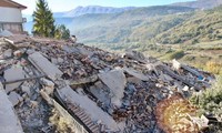 No Vietnamese citizens affected by earthquake in Italy