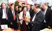 Solution to Vietnam’s agricultural development