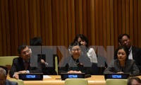 Vietnam’s role in UN praised