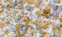 The danger of plastic bags