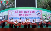 2017 Ban Flower Festival opens in Dien Bien