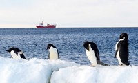 World effort to protect penguins in Antarctica