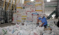 Vietnam to sell 175,000 tonnes of rice to the Philippines 