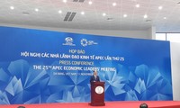25th APEC Economic Leaders' Meeting approves Da Nang declaration 