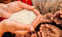 Alarming food insecurity in Africa 
