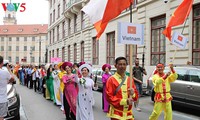 Vietnam joins ethnic festival in Czech Republic 