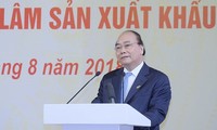 Vietnam set to earn 20 billion USD from wood exports by 2025