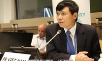 Vietnam actively participates in UN forums: Ambassador 