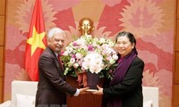 NA Vice Chairwoman meets UN Resident Coordinator in Vietnam