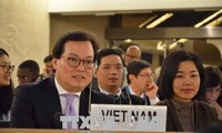 Vietnam respects international dialogue on human rights 
