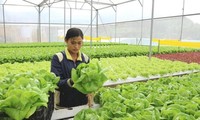 HCM City steps up cooperation with Australia in high-tech agriculture