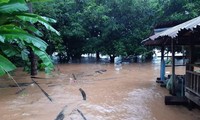 Vietnam sends sympathy over flooding in Laos