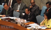 42 years of UN membership, Vietnam sets sail