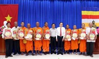NA Vice Chairman, Fatherland Front President pays New Year visit to Khmer people
