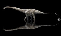 Longest dinosaur that ever lived on Earth might be 42m long 