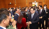 National achievements partly contributed by 5.3 million Overseas Vietnamese: PM