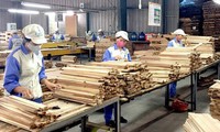 Vietnam aims to earn over 16 billion USD from forestry exports in 2022