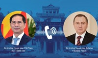 FM affirms Vietnam's consistent stance on settling international disputes by peaceful means