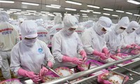 Chinese, US markets forecast to determine Vietnam’s seafood export growth in Q2
