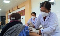 Vietnam reports no COVID-19 deaths for seven consecutive days