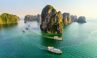 Ha Long Bay welcomes most visitors since reopening