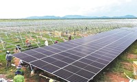  “ASEAN Bridge ++” forum promotes a green circular economy