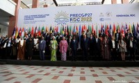 Developing countries urge more climate funds 