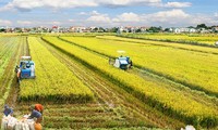 Global conference on sustainable food systems opens in Hanoi 