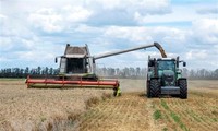 Russia, UN set date for consultations on agricultural exports