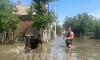 Kakhovka dam collapse: Ukraine warns of risks to global food security