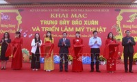 Newspaper festivals celebrate the Party and spring across Vietnam 