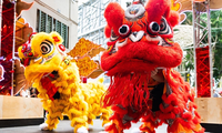Lunar New Year festivities enliven Sydney in 16 days  