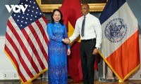 Vice president meets New York City mayor 