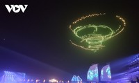 Carnaval brightens up Ha Long’s night sky