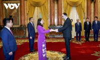 Acting President receives foreign ambassadors presenting credentials