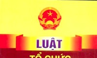 越南内务部开展实施《地方政府组织法》和国会与人民议会代表选举工作